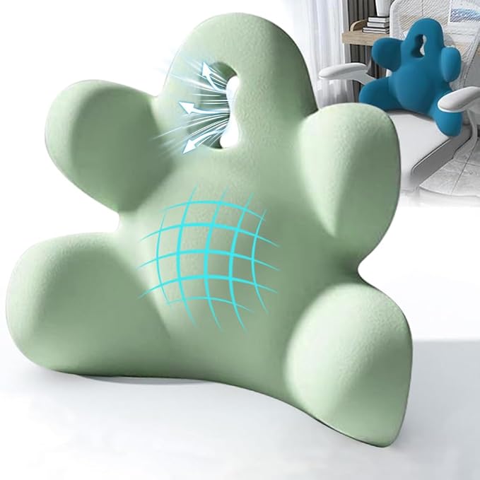 Lumbar Support Pillow for Office Chair, Back Support Pillow for Car, Chair | Office Chair Back Support Improve Lower Back Pain Relief & Sitting Posture, Memory Foam Back Cushion for Long Sitting by Sothuba