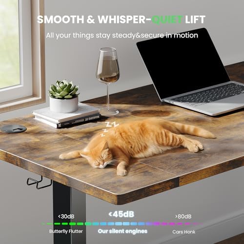 Electric Standing Desk Adjustable - 55 x 24 Inch Sit Stand up Desk with 0.8 Inch Thick Tabletop - Adjustable Height Table with 3 Memory Preset, Cable Management for Home Office - Image 5