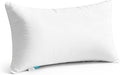 Oubonun 20"x30" Throw Pillow Insert – Plush and Supportive Decorative Cushion with 100% Cotton Cover, for Couch, Sofa, Bed, Chair – Pack of 1 by Oubonun