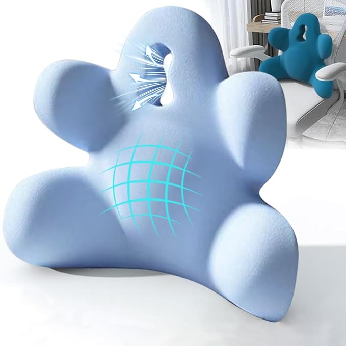 Lumbar Support Pillow for Office Chair, Back Support Pillow for Car, Chair | Office Chair Back Support Improve Lower Back Pain Relief & Sitting Posture, Memory Foam Back Cushion for Long Sitting by Sothuba