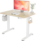 YDN 35 x 20 Inch Nature Electric Standing Desk | Adjustable Height, Sit Stand, Cable Management, Ergonomic, Home Office by YDN