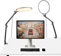 NEEWER Basics 2 Pack 10.5" Streaming Key Lighting, 3000-6500K 15W Full Screen LED Panel Ring Light with Adjustable Arm Stand Desk Clamp Timer for Laptop Computer Video Conference Zoom Makeup, R10 by Neewer