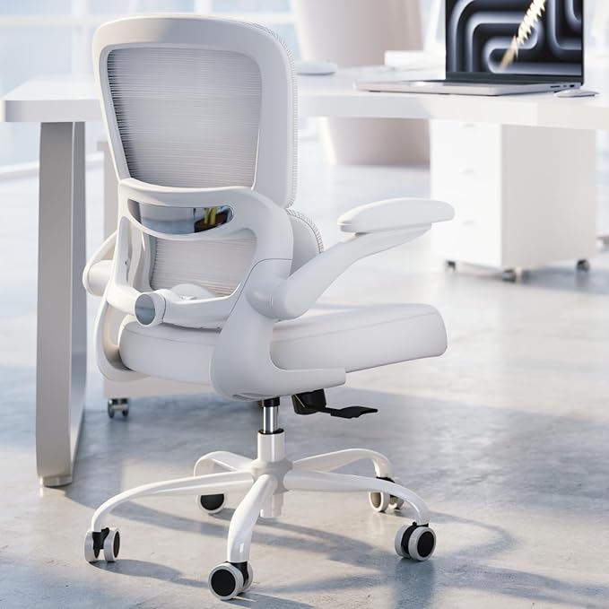 TRALT Office Chair - Ergonomic Desk Chair with Adjustable Lumbar Support, Mesh Computer Chair, Executive Chair for Home Office Comfortable Lumbar Support (1, White White) by TRALT