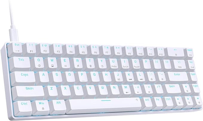 DIERYA T68SE 60% Gaming Mechanical Keyboard,Ultra Compact Mini 68 Key with Blue Switches Wired Keyboard,Anti-Ghosting Keys, for Windows Laptops and PC Gamers,White by DIERYA