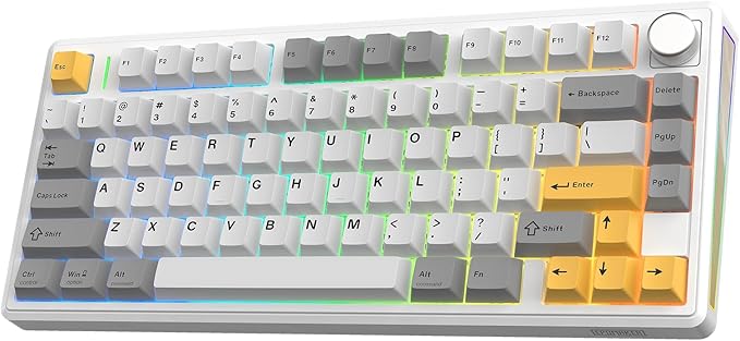 EPOMAKER TH80 V2 75% Wireless Mechanical Keyboard with Metal Knob, 8000mAh | 2.4Ghz/BT/USB-C, RGB, Hot Swap, Custom Driver, PBT Keycap, Wireless Gaming Keyboard for PC/Mac (White, Creamy Jade) by EPOMAKER