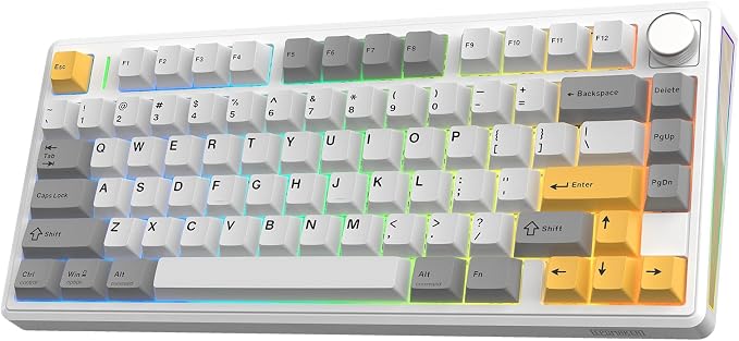 EPOMAKER TH80 V2 75% Wireless Mechanical Keyboard with Metal Knob, 8000mAh | 2.4Ghz/BT/USB-C, RGB, Hot Swap, Custom Driver, PBT Keycap, Wireless Gaming Keyboard for PC/Mac (White, Sea Salt Silent) by EPOMAKER