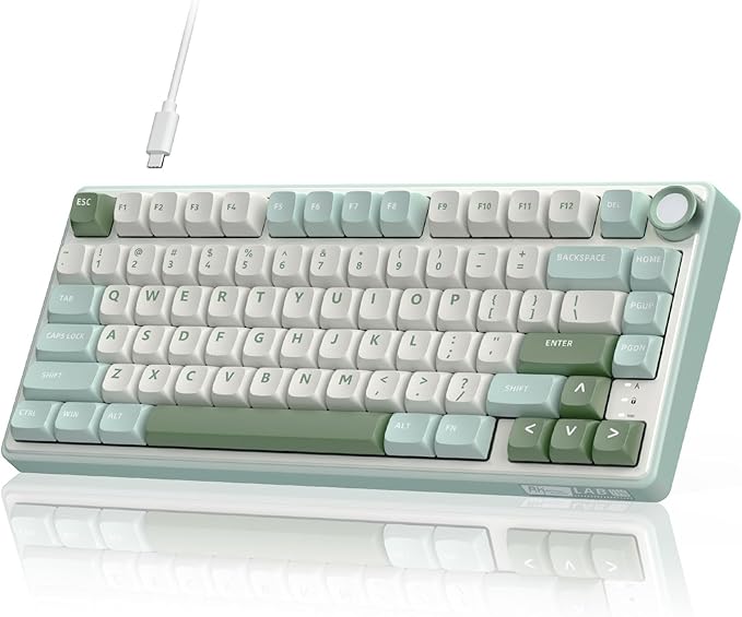 RK ROYAL KLUDGE R75 Mechanical Keyboard Wired with Volume Knob, 75% Keyboard Gasket Mounted, RGB Backlit, Creamy Keyboard with MDA Profile, PBT Keycaps, Hot Swappable Pre-lubed Tactile Switch by RKROYALKLUDGE