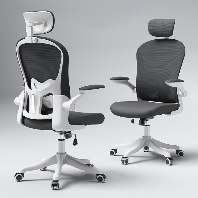 Ergonomic Mesh Office Chair, Black | Adjustable Lumbar Support and Headrest,Ergonomic Home Office Chair, Flip-Up Arms 90-120° Tilt Lock Rolling Swivel Work Chair by TLLMOON