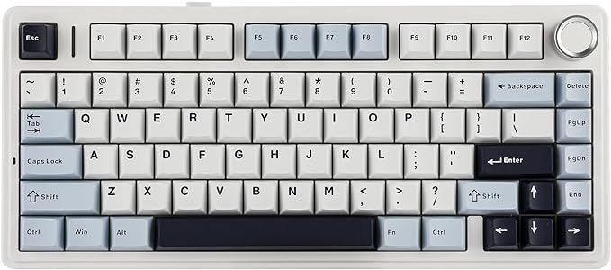 EPOMAKER x Aula F75 Gasket Mechanical Keyboard, 75% Wireless Hot Swappable Gaming Keyboard with Five-Layer Padding&Knob, BT/2.4GHz/USB-C, RGB (Light Blue, LEOBOG Reaper Switch) by EPOMAKER