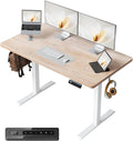 FEZIBO One-Piece Standing Desk, 48"x24" Seamless Tabletop Electric Height Adjustable for Home Office, Study Rooms & Multi-Device Workstations, Oak by FEZIBO