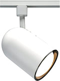 Nuvo TH208 R20 Bullet Cyl Track Head, White by Nuvo