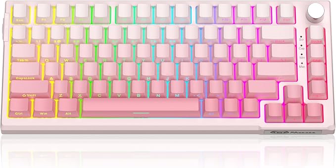 MageGee SKY81 75% Wireless Gasket Mechanical Gaming Keyboard, Hot Swappable RGB Custom Creamy Keyboard w/ 5-Layer Padding, BT/2.4G/USB-C, Knob Control, Side Printed Keycaps (White&Pink, Violet Switch) by MageGee