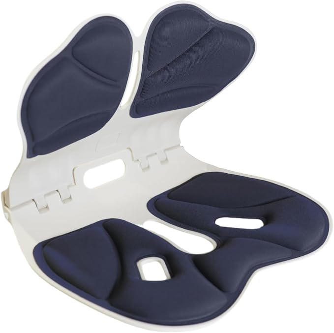 Lumbar Ergonomic Support for Office Chair Back Lumbar Support Ergonomic Back Support Pad Suitable for Office Chairs by Unknown