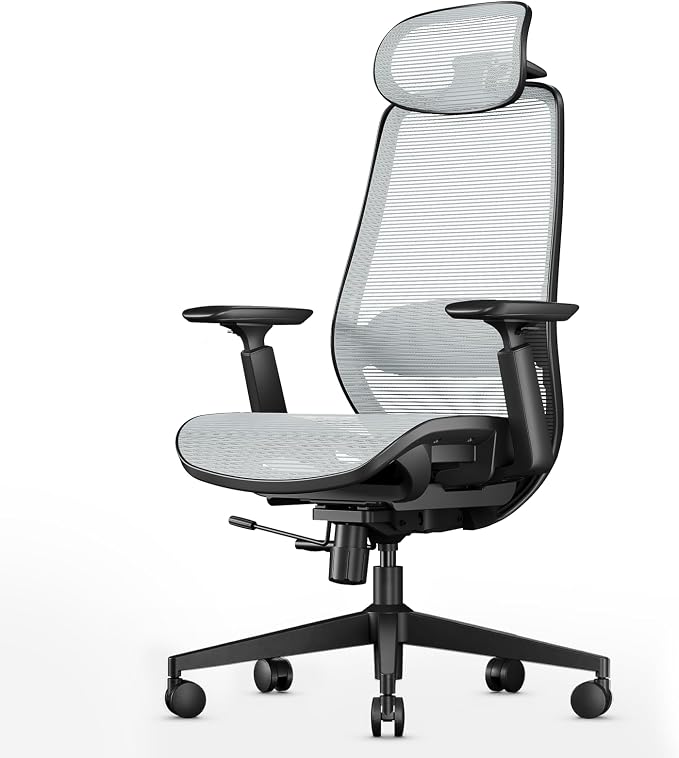 ProtoArc EC200 Pro Ergonomic Mesh Office Chair for Remote Work, Gray | 4D Armrests, Adjustable Lumbar & Seat Depth, 3D Headrest, Ergonomic Desk Chair for Home Office Programmers by ProtoArc