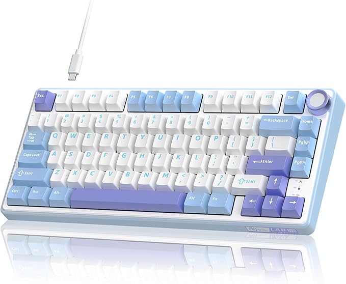 RK ROYAL KLUDGE R75 Mechanical Keyboard Wired with Volume Knob, 75% Custom Gaming Keyboard Gasket Mount RGB Backlit with Software, Cherry Profile, Hot Swappable Silver Switch, PBT Keycaps by RKROYALKLUDGE