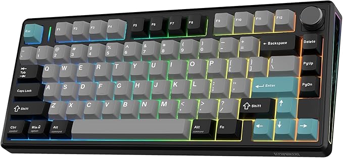 EPOMAKER TH80 V2 75% Wireless Mechanical Keyboard with Metal Knob, 8000mAh | 2.4Ghz/BT/USB-C, RGB, Hot Swap, Custom Driver, PBT Keycap, Wireless Gaming Keyboard for PC/Mac (Black, Creamy Jade) by EPOMAKER