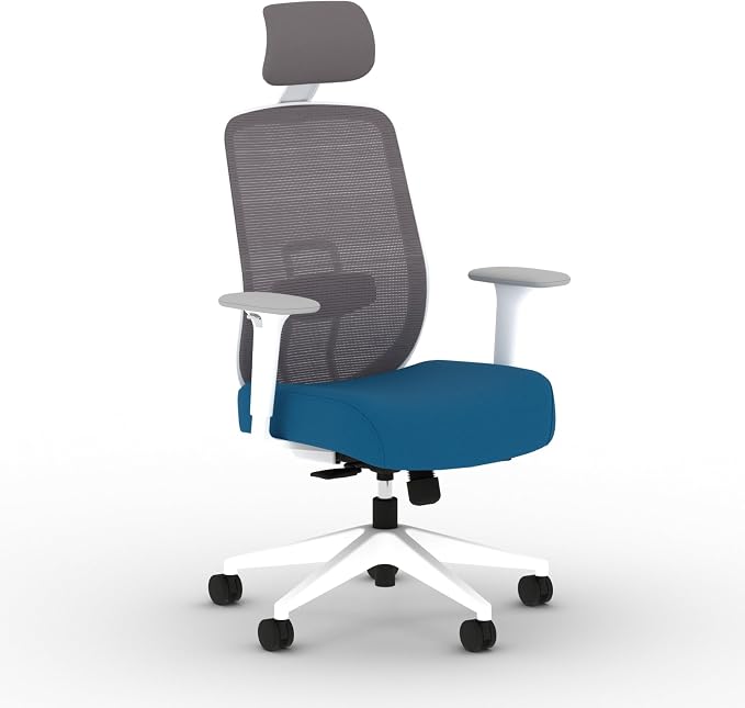 HON Altern Ergonomic Office Chair, Office Desk Computer Chair, Peacock | Mesh desk chair with lumbar support, headrest, seat slide, adjustable arms, computer chair for home office productivity by HON