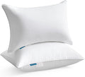 Oubonun 12x20 Lumbar Throw Pillow Inserts 2 Pack, 100% Cotton Breathable Cover Plump Rectangle Square Cushion Inserts White Decorative Pillows for Living Room Bedroom Office by Oubonun