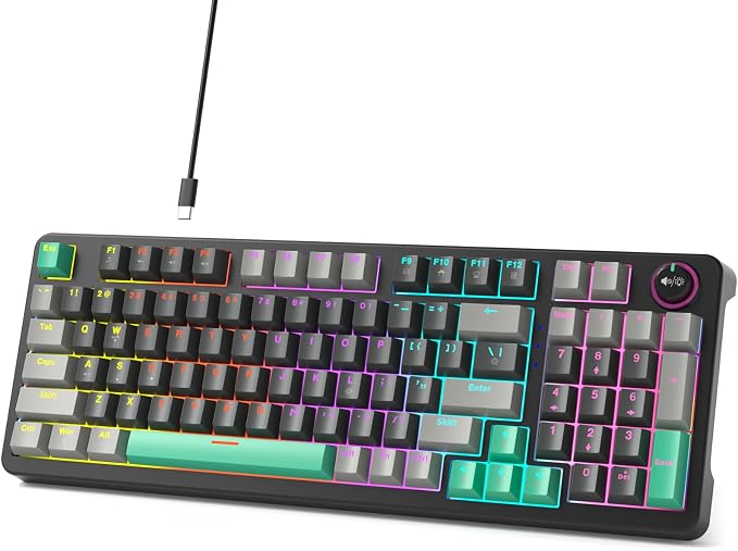 AK96 Mechanical Keyboard Smart Display & Knob, Top Mount 96% Wired Mechanical Keyboard USB-C, Hot Swappable, Software Support, Creamy Sounding, 96 Keys (Black) by Meidosa