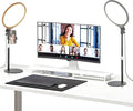 NEEWER Basics 2 Pack 10.5" Desktop LED Ring Light with Stand for Desk/Phone Holder, 3000-6500K Full Screen 15W Panel Lighting for iPhone Recording Streaming Selfie Laptop Webcam Video Conference, R10 by Neewer
