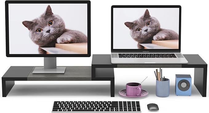 WESTREE Dual Monitor Stand Riser - 2 Shelf Computer Stand with Adjustable Length and Angle, Desktop Organizer for 2 Monitors by WESTREE