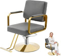 1PCS Swivel Styling Salon Chair with Hydraulic Pump, Gold + Grey by Dziwenul