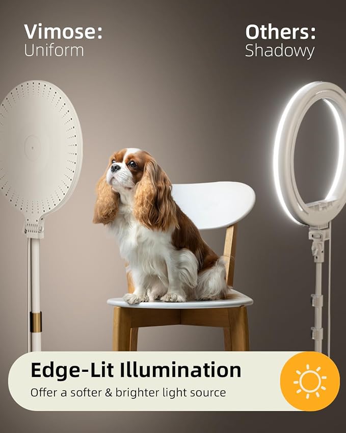 10.5" Ring Light with Stand and Phone Holder, 69" Tripod for iPhone | with Light Professional Led Full Screen Ringlight for Video Recording/Make up/Streaming for YouTube, Tiktok (White) - Image 2