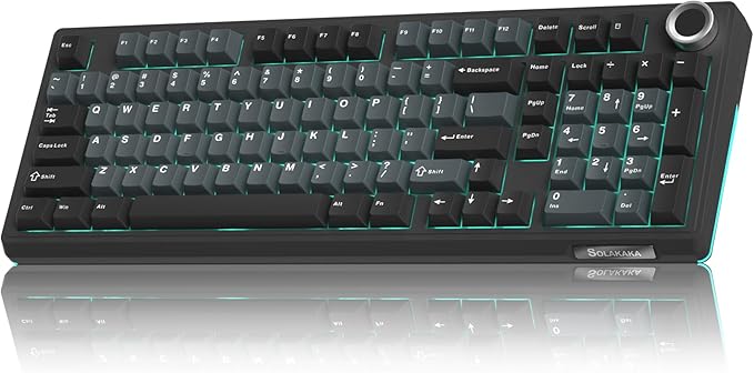 SOLAKAKA KI99 Pro Wireless Mechanical Keyboard with Quiet Switch, Hot Swappable Pre-Lubed Switches with RGB Backlit, Gasket Structure Computer Gaming Keyboard (BlackBlue, Silent Switch) by SOLAKAKA