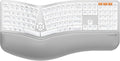 ProtoArc EK01 Plus Backlit Bluetooth Ergonomic Keyboard, White Silver | Adjustable brightness, split design, cushioned wrist rest, connect 3 devices via Bluetooth/2.4G, 2000mAh USB-C rechargeable. by ProtoArc