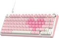 RK ROYAL KLUDGE R75 Mechanical Keyboard Wired with Volume Knob, 75% Keyboard Gasket Mounted, Hot Swappable, Creamy Sound, MDA Profile, PBT Keycaps, Pink by RKROYALKLUDGE