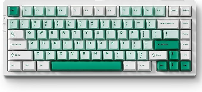 MCHOSE G75 PRO 75% Wireless Mechanical Keyboard, TKL Keyboards Tri-Mode BT5.0/2.4GHz/USB-C, Hot Swap Custom Creamy Keyboards Linear Switch, Double Shot PBT Keycaps RGB LED Backlit, White&Green by MCHOSE