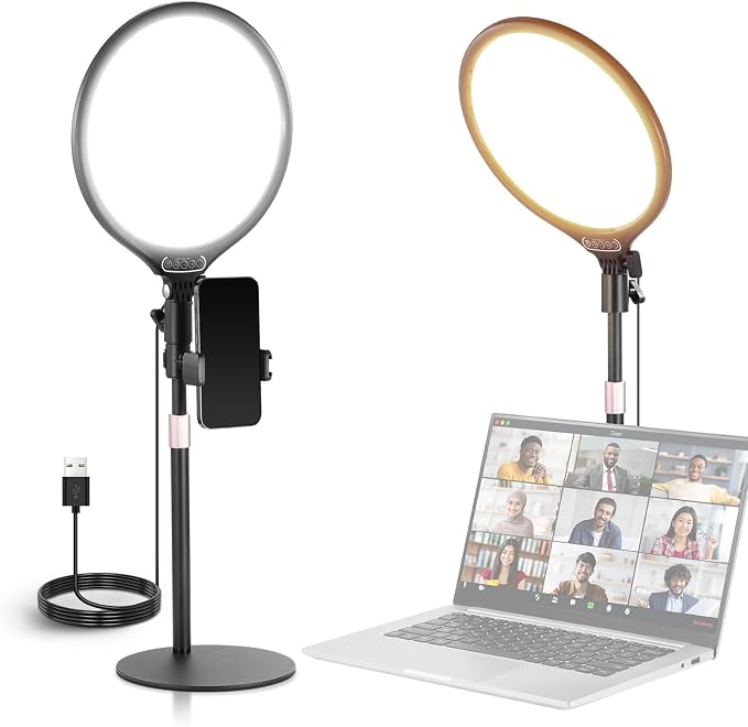NEEWER Basics 10.5" Desk Ring Light with Stand/Phone Holder/Timer, 3000-6500K Full Screen 15W LED Selfie Panel Lighting for iPhone Recording Streaming Makeup Laptop Webcam Video Conference Zoom, R10 by Neewer