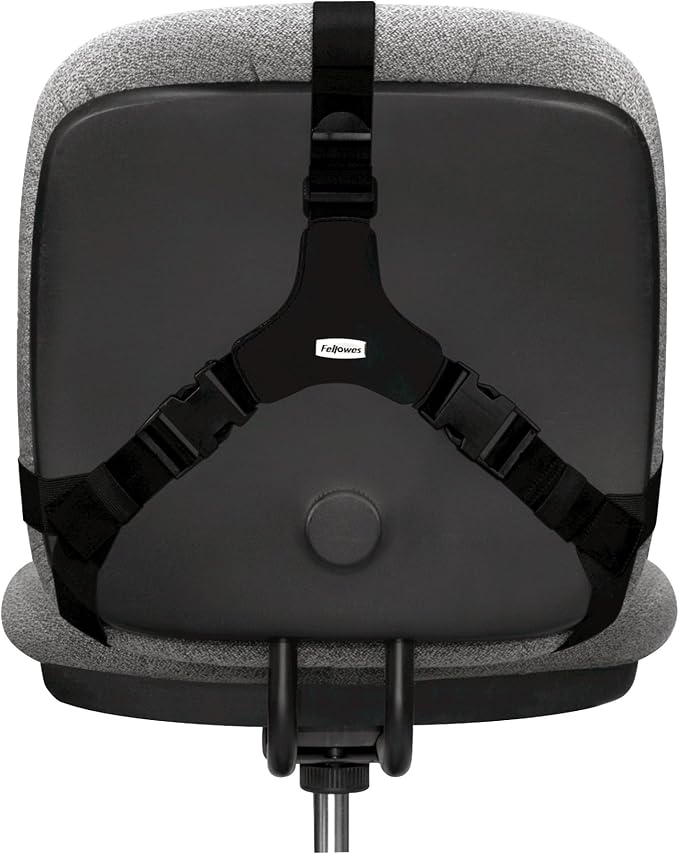 Fellowes Professional Series Back Support, Black (8037601) (Pack of 2) - Image 3