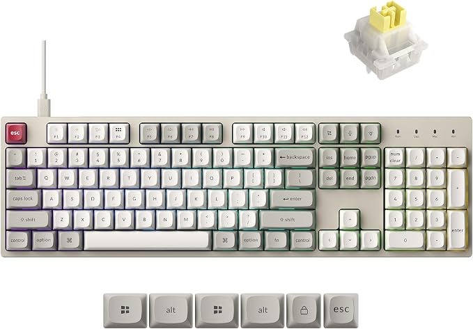 Keychron C2 Pro Wired Mechanical Keyboard with 8K Hz Polling Rate, Full Size Custom RGB Backlit Hot-Swappable, Non-Shine Through PBT Keycaps Compatible with Mac Windows Linux (Silent Banana Switch) by Keychron