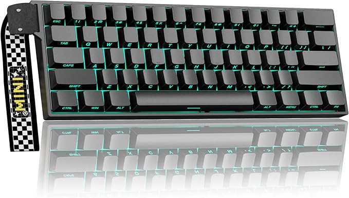 Aula MINI60 HE PRO Wireless Gaming Keyboard 60%,Hall Effect Rapid Trigger Magnetic Keyboard,8000Hz Polling,Tri-Mode(BT5.0/2.4GHz/USB-C),RGB Hot Swappable Compact Mechanical Keyboard for Gamer(Black) by CORBOBO