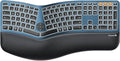 ProtoArc EK01 Plus Backlit Bluetooth Ergonomic Keyboard, Full Size, Blue | Adjustable brightness, split design, cushioned wrist rest, connect 3 devices via Bluetooth/2.4G, 2000mAh USB-C rechargeable. by ProtoArc