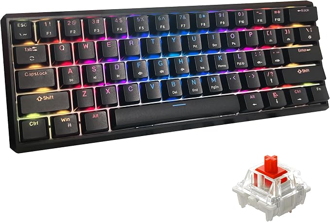 Snpurdiri 60% Gasket Wired Mechanical Gaming Keyboard (Black, Red Switches) | RGB Backlit 61 Keys Mini Gaming Keyboard for PC, Windows XP, Win 7, Win 10 by Snpurdiri