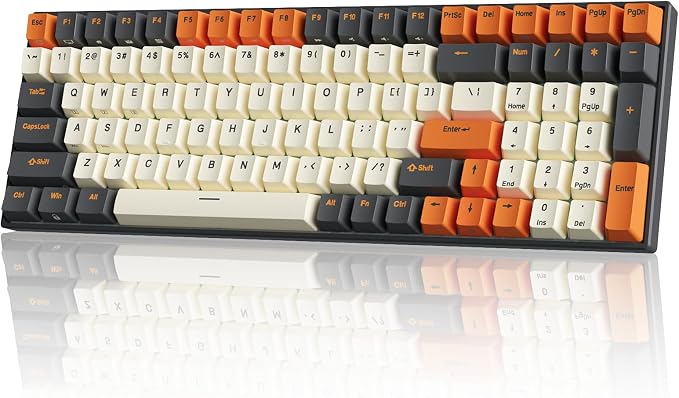 RK ROYAL KLUDGE RK100 Wireless Mechanical Keyboard RGB Backlit Bluetooth5.1/2.4G/Wired 96% Full Size 100-Key Hot Swappable Gaming Keyboard Red Switch Carbon by RKROYALKLUDGE
