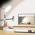 Selfie Light Kit for Desk and Laptop,55W Dimmable Full Screen Ring Light,with Rotating Storage Box,Pen Holder Stand,Phone Holder and Controller (White, 10.5) by xianyanbao