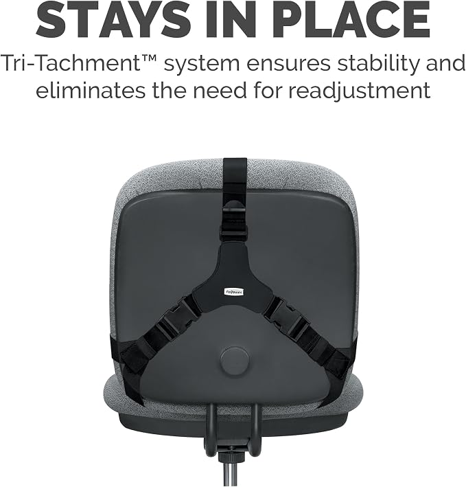 Fellowes Professional Series Back Support, Black (8037601) - Image 2