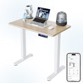 HUANUO AI-Powered Electric Standing Desk with Smart APP, Work with Alexa & Google, Adjustable Height, 6 Memory Settings, Sedentary Reminder, Ergonomic Sit-Stand Desk, 32-inch, Light Walnut | AI App & Voice Control via Alexa, Google Assistant & Siri Sho... by HUANUO