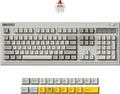 Keychron R6 Retro Wireless Mechanical Keyboard, 100% Full Size Hot Swappable RGB Apex Red Linear Switch, QMK Tri-Mode(2.4 GHz/Bluetooth/Wired), Compatible with Mac PC Linux by Keychron