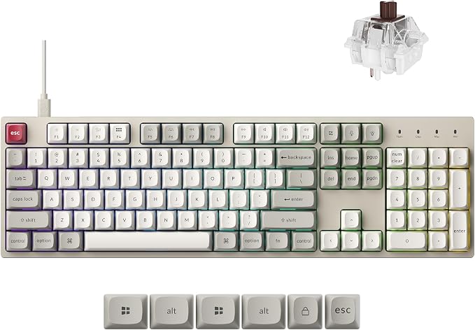 Keychron C2 Pro Wired Mechanical Keyboard with 8K Hz Polling Rate, Full Size Custom RGB Backlit Hot-Swappable, Non-Shine Through PBT Keycaps Compatible with Mac Windows Linux by Keychron