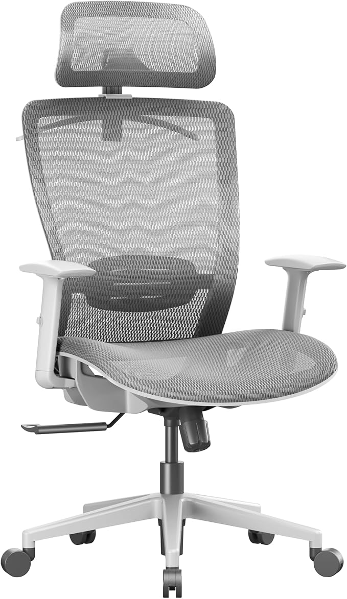 FLEXISPOT OC3 Air Ergonomic Office Chair Mesh Back Swivel Computer Chair Executive Office Desk Chairs with Adjustable Lumbar Support/2D Headrest/Lockable Backrest, Light Gray by Unknown