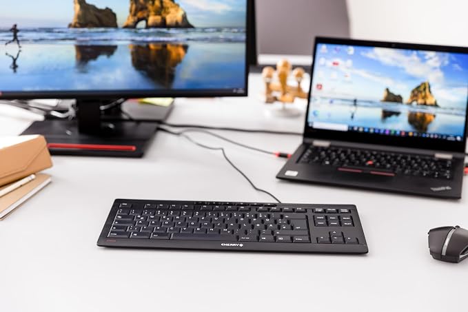 Cherry Stream Keyboard TKL, Wired Keyboard Without Number Pad, Whisper Quiet Keys, Unique Typing Feel, Slim Design, SX Scissor Switches, QWERTY, White-Gray - Image 2