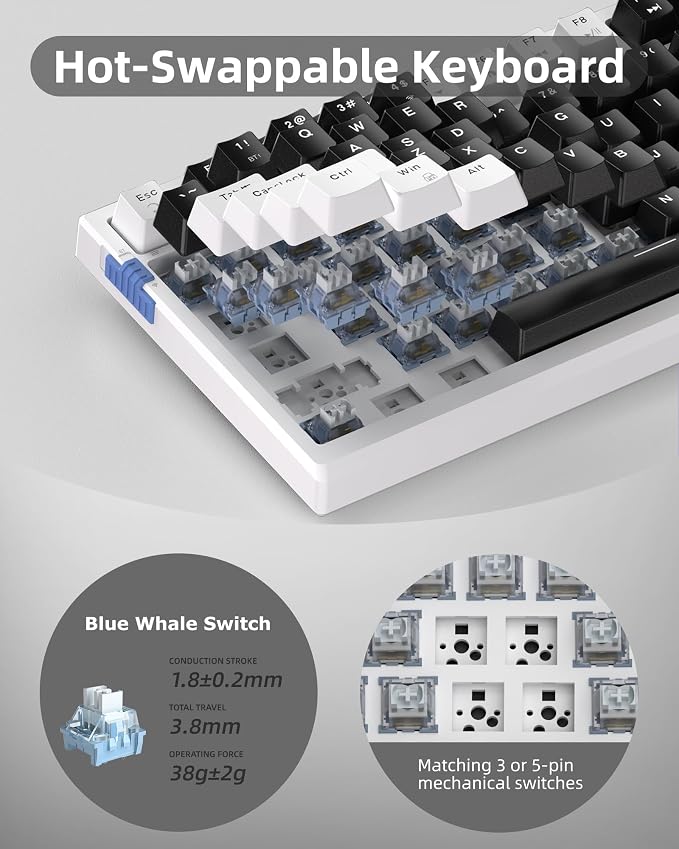 MageGee SKY81 75% Wireless Gasket Mechanical Gaming Keyboard, Hot Swappable RGB Custom Creamy Keyboard w/ 5-Layer Padding, BT/2.4G/USB-C, Knob Control, NKRO for Win/Mac (Mecha, Blue Whale Switch) - Image 5