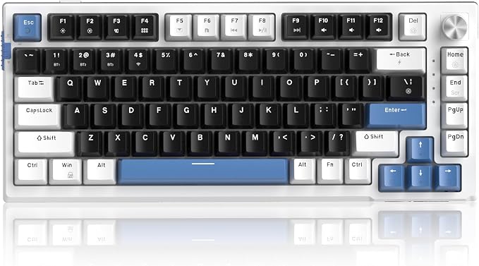MageGee SKY81 75% Wireless Gasket Mechanical Gaming Keyboard, Hot Swappable RGB Custom Creamy Keyboard w/ 5-Layer Padding, BT/2.4G/USB-C, Knob Control, NKRO for Win/Mac (Mecha, Blue Whale Switch) by MageGee
