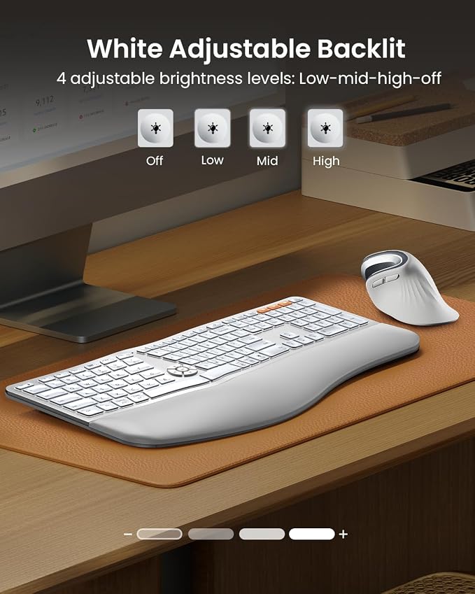 ProtoArc EK01 Plus Backlit Bluetooth Ergonomic Keyboard, White Silver | Adjustable brightness, split design, cushioned wrist rest, connect 3 devices via Bluetooth/2.4G, 2000mAh USB-C rechargeable. - Image 2