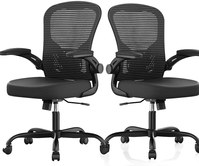 Office Chair|Ergonomic Desk Chairs (Pack of 2) | Flip-up Armrests,Mesh Computer Chair,High Back,Comfy Work,Adjustable Lumbar Support by Synorla