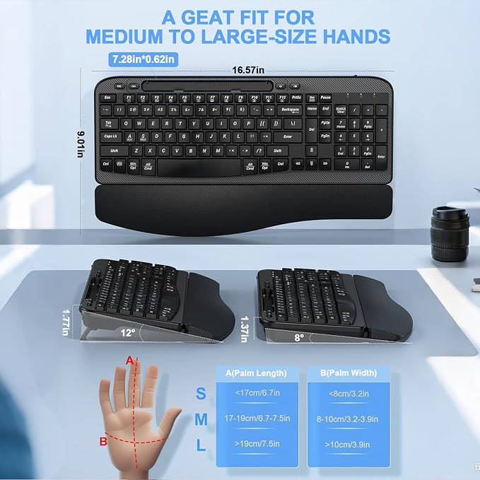 EAYBLLY 2.4G Wireless Ergonomic Keyboard, Full Size Wave Keys with Memory Foam Wrist Rest & 7.28in Phone Holder, USB-C Adapter Included for Windows Mac Chrome OS, Office or Home (Black) - Image 3